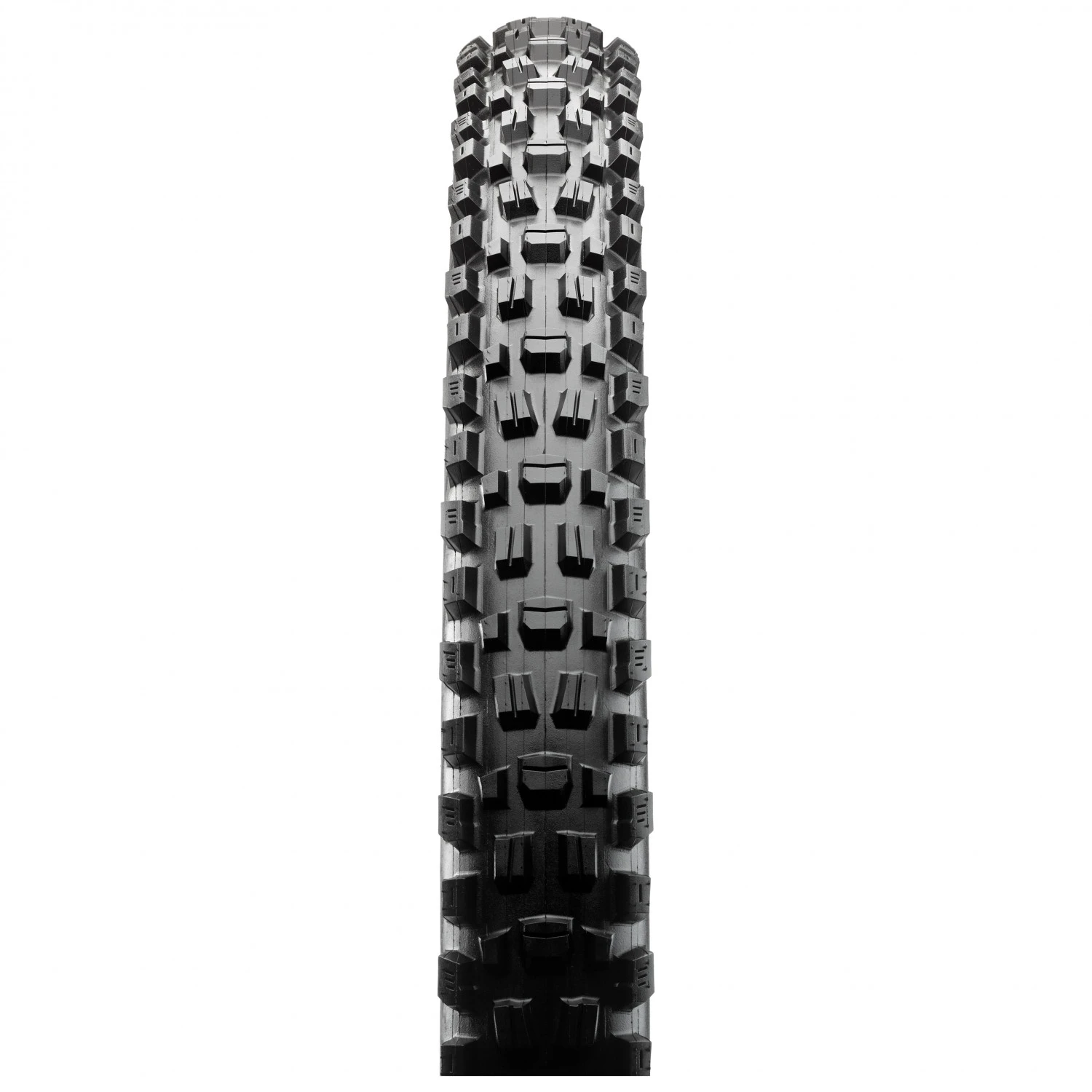 MAXXIS Assegai 29'' (66-622) WT 3C MaxxTerra EXO TR - Pneu De Vélo 1 MAXXIS Assegai 29'' (66-622) WT 3C MaxxTerra EXO TR - Pneu De Vélo