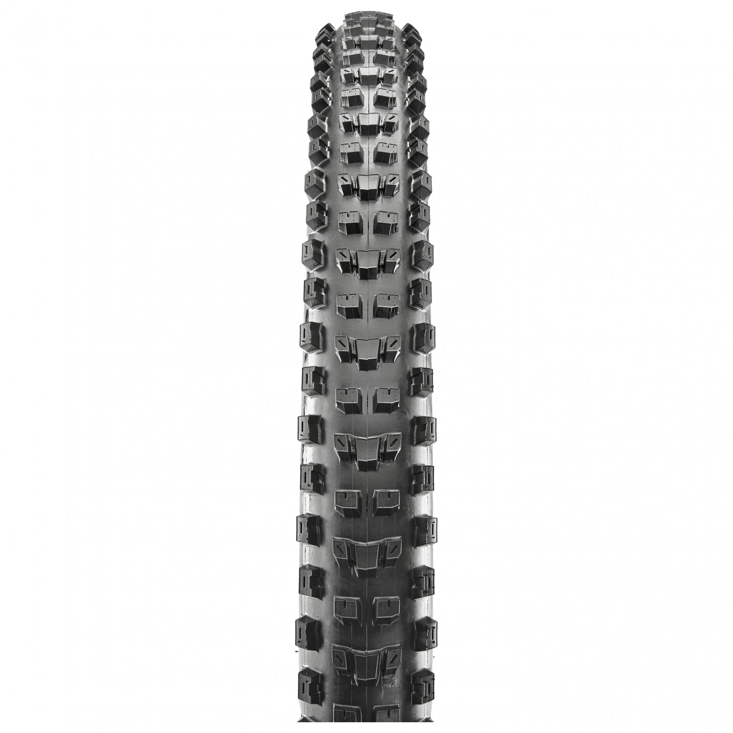 MAXXIS Dissector 27,5'' (66-584) 3C MaxxTerra EXO+ TR - Pneu De Vélo 1 MAXXIS Dissector 27,5'' (66-584) 3C MaxxTerra EXO+ TR - Pneu De Vélo