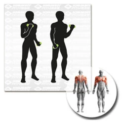 Soft-Hanteln Aerobic-Hanteln - Entraînement Fonctionnel -Schwaelbe Magasin schildkroet fitness soft hanteln aerobic hanteln entrainement fonctionnel detail 3